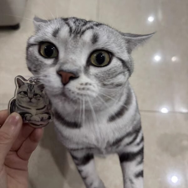 Set of 2 Customized photo keychain - Image 3